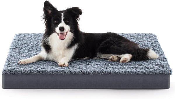 Cama ortopédica para perros extra grandes y medianos, cama grande de espuma