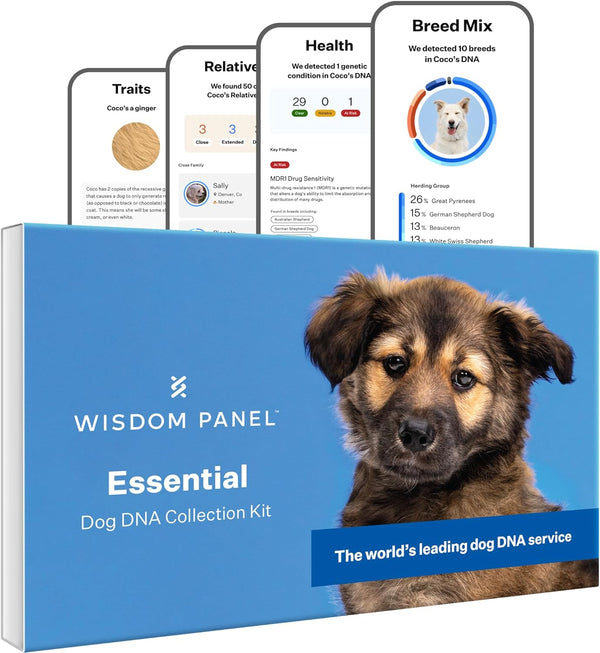 Panel Essential Prueba de ADN para perros de ascendencia, rasgos y