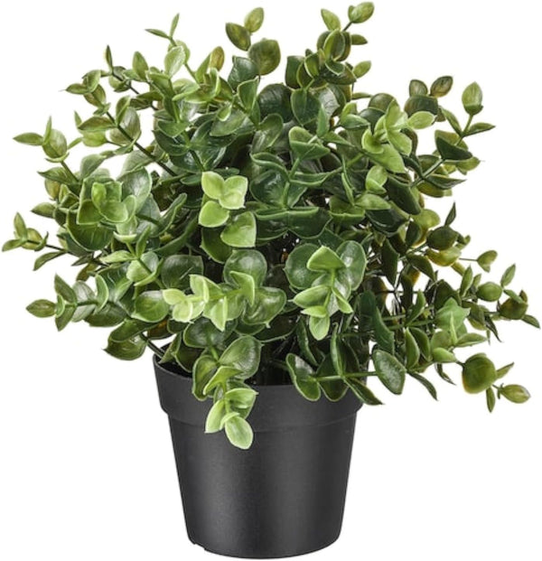 IKEA planta artificial de jade en maceta, 9.5pulgadas