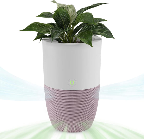 Dupray Bloom Purificador de aire para habitaciones grandes con maceta o diseño...