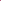 CB PATA FUSCIA 4